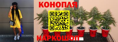 первитин Владимир