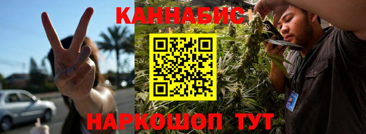 Канабис OG Kush Кострома